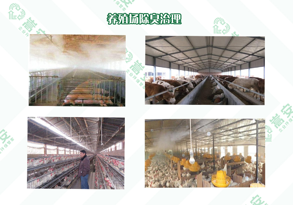 ϳ􄩏SЧQB(yng)ֳ(chng)ζ}I(y)ָρ