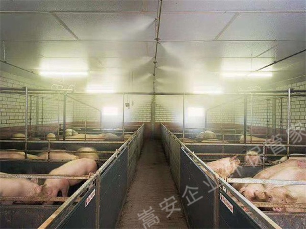 B(yng)ֳ(chng)γԽ󻼲L(fng)U(xin)Чe(cu)