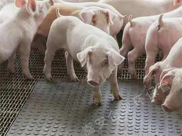 ̫ƽB(yng)ֳ(chng)Ѭ죬(zh)T֪ͨ